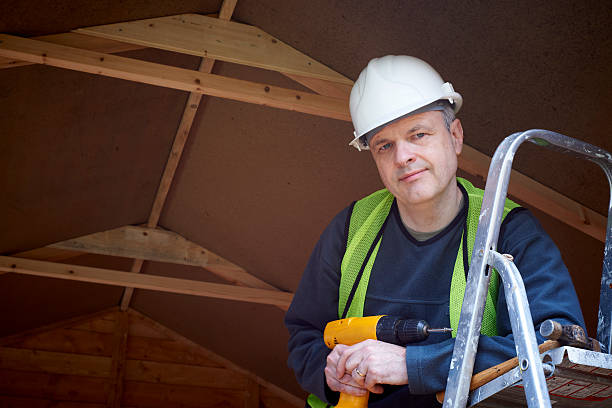 Best Attic Insulation Installation  in Lena, IL